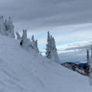 Meet your Posher, Leena